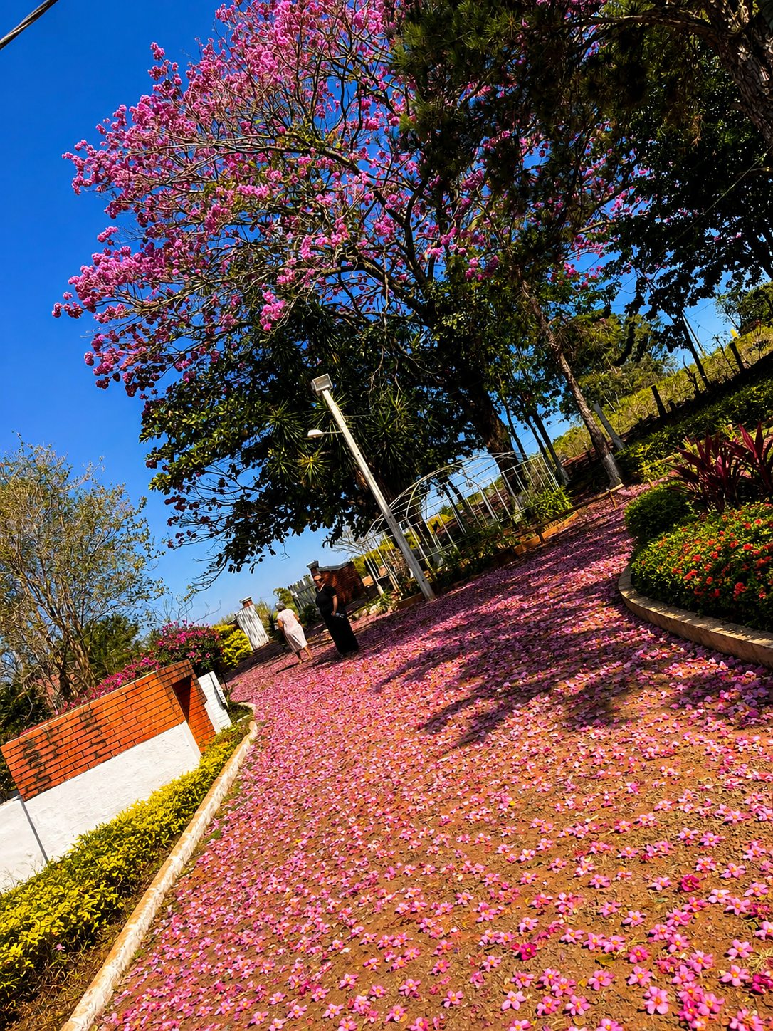 Fachada de entrada da Associação Desafio Jovem Monte Santo